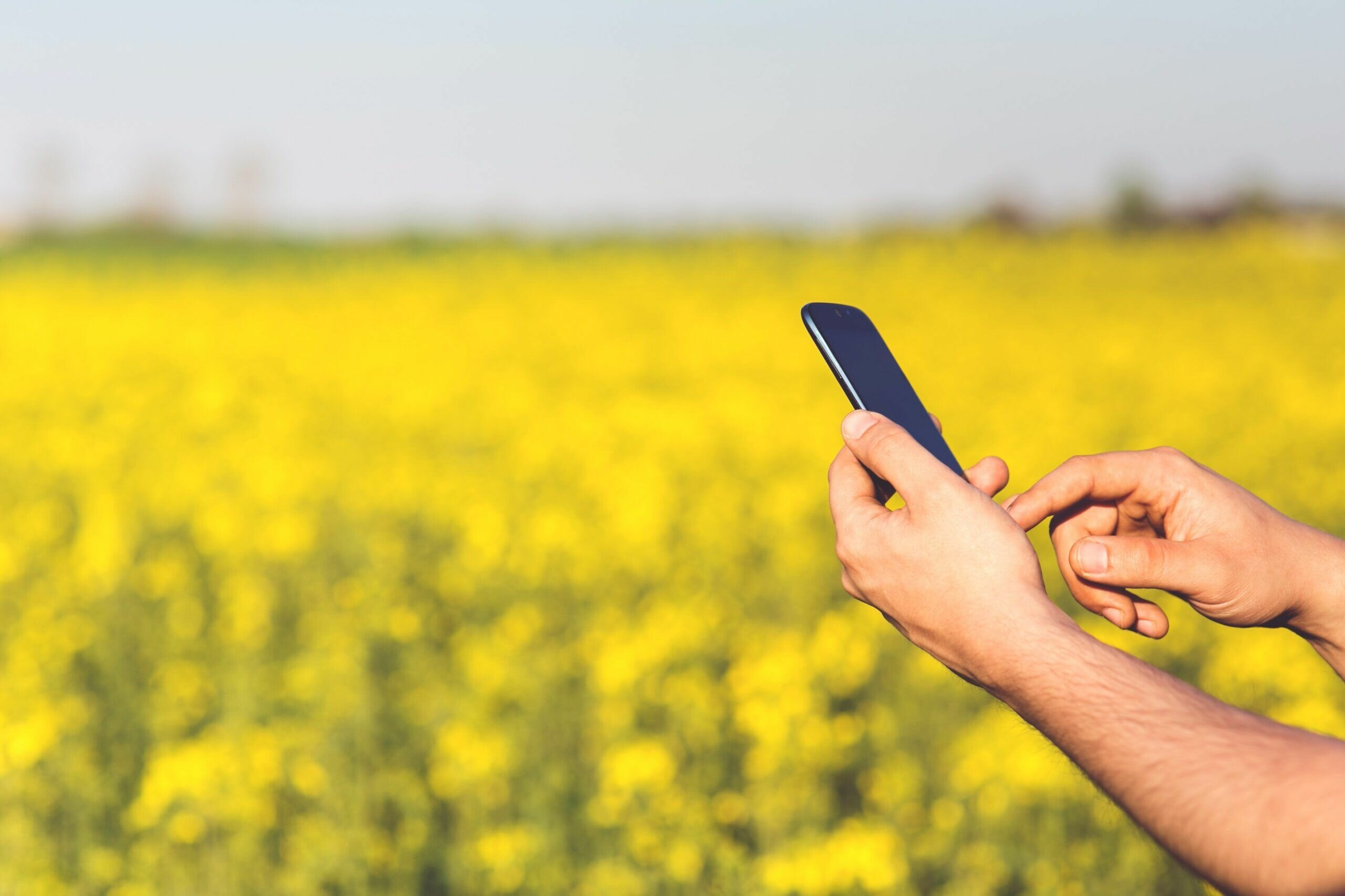 sviluppo digitale agricoltura