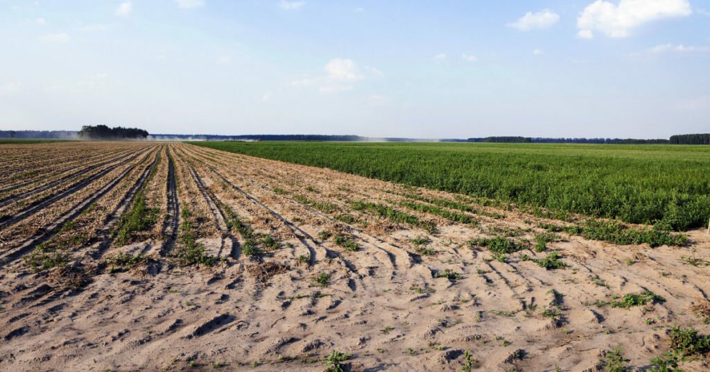 agricoltura - campi arati e coltivati