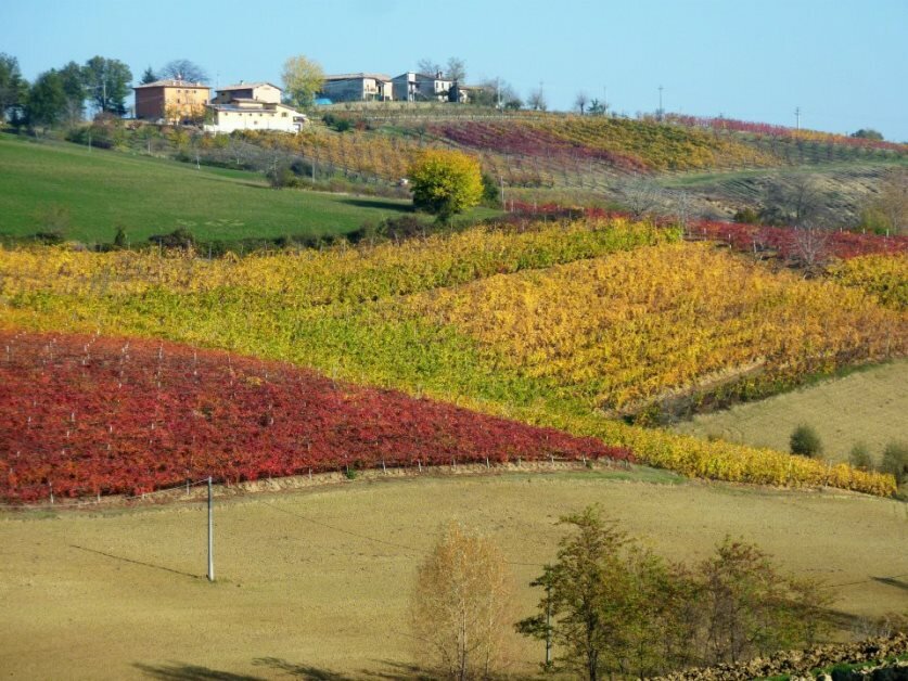 vigneti di eccellenza