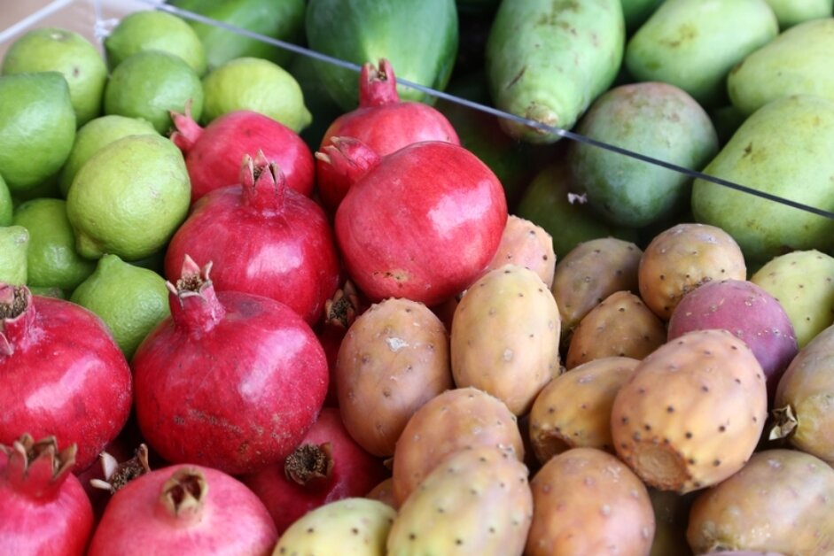 FRUTTABIO