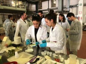 laboratorio its