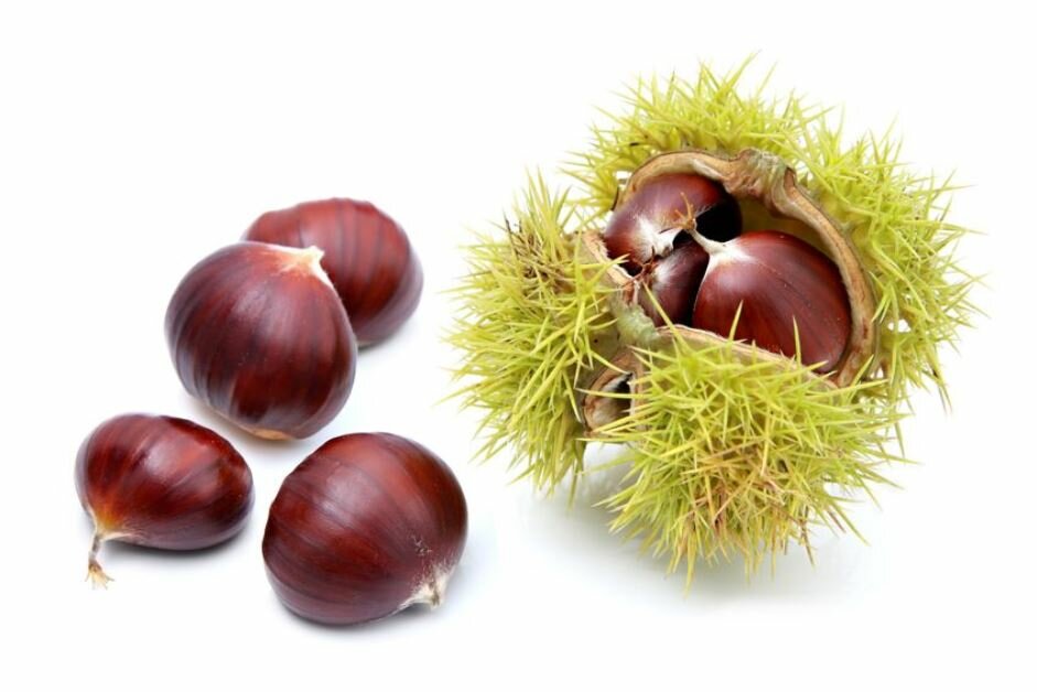 castagne