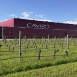 stabilimento Caviro di Forli