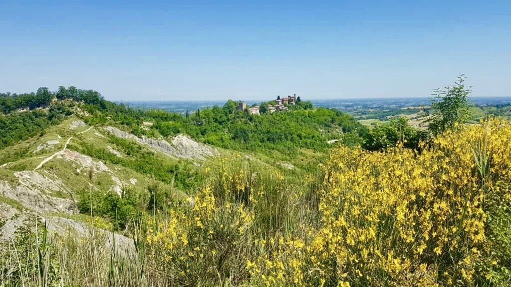 immagine collina