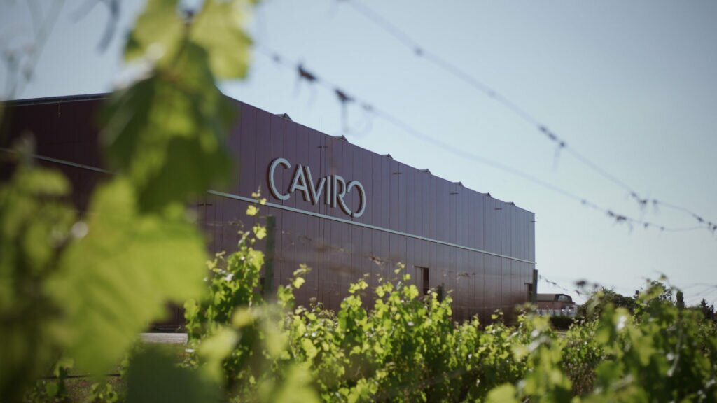cantina caviro di forli