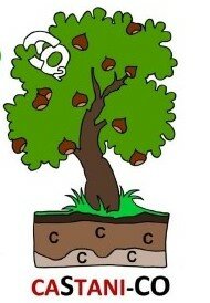 logo castanico
