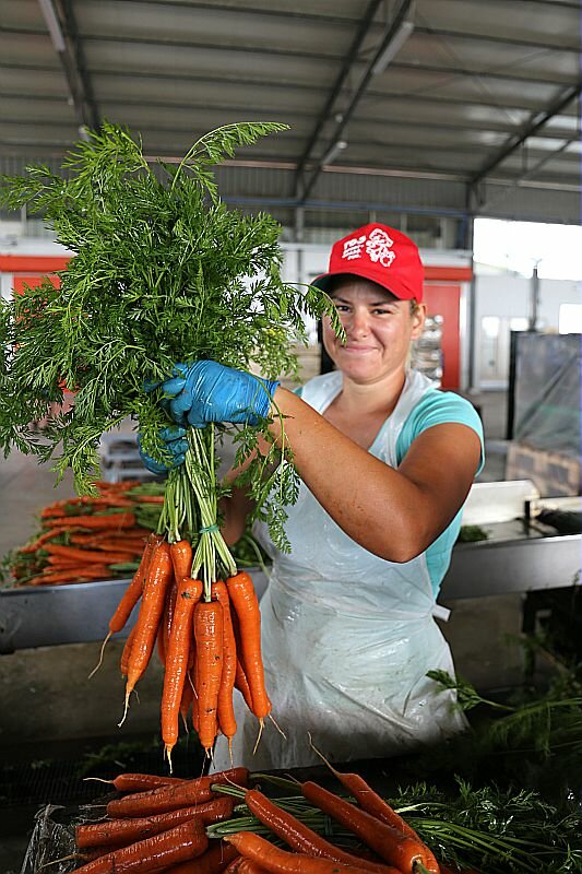 agricoltura lavoratrice
