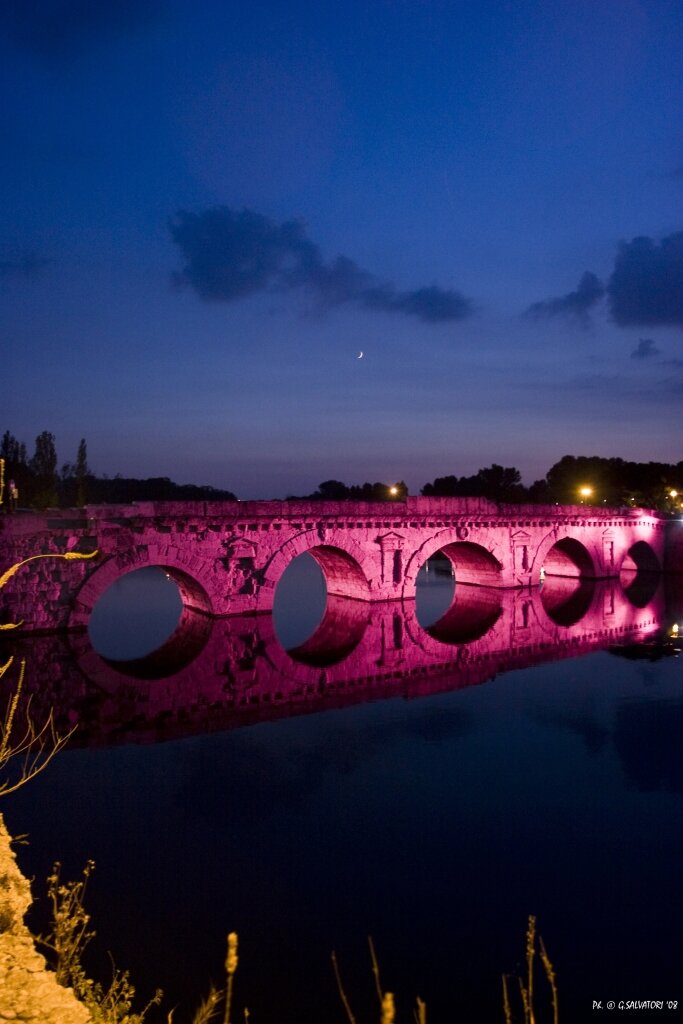 notte rosa