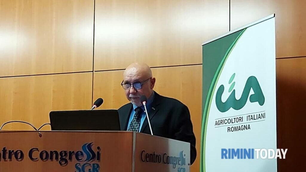 danilo miserocchi
