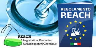 REGOLAMENTO REACH
