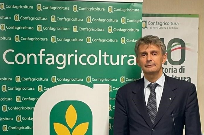 luca gasperini